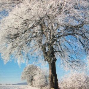 Meet your Posher, Julian